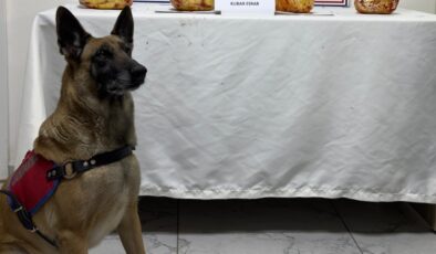 JANDARMA NARKOTİK KÖPEĞİ 3 KİLO 250 GR ESRARI ELE GEÇİRDİ