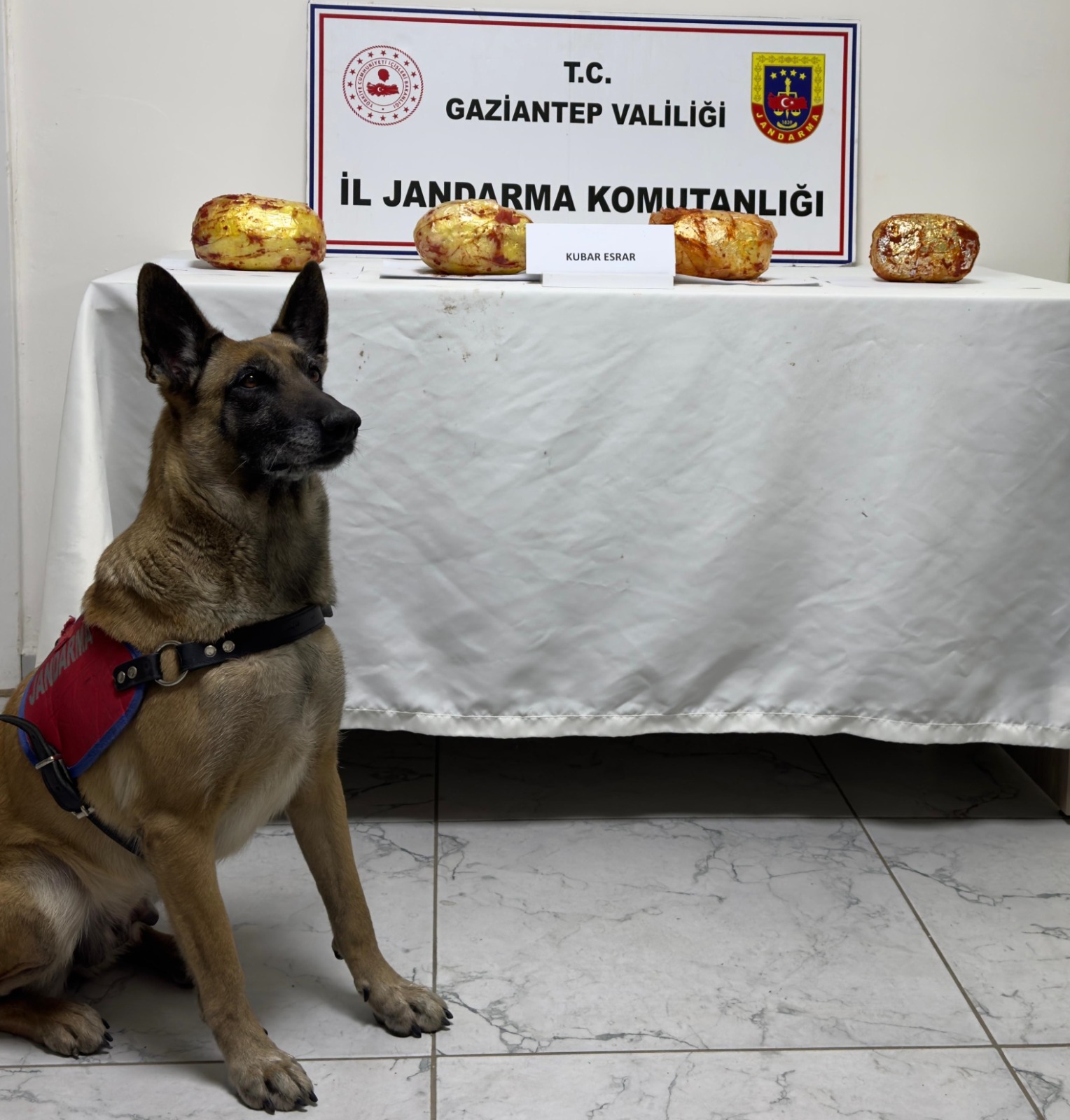 JANDARMA NARKOTİK KÖPEĞİ 3 KİLO 250 GR ESRARI ELE GEÇİRDİ