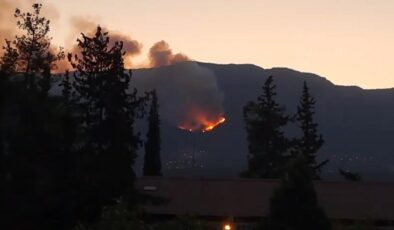 HASSA’DA ORMAN YANGINI