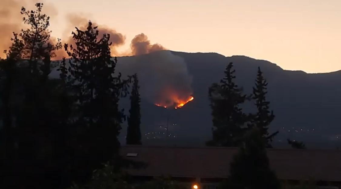 HASSA’DA ORMAN YANGINI