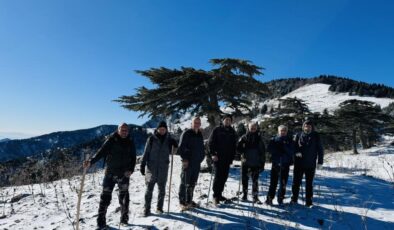 AMANOSLARA YILIN İLK KARI YAĞDI