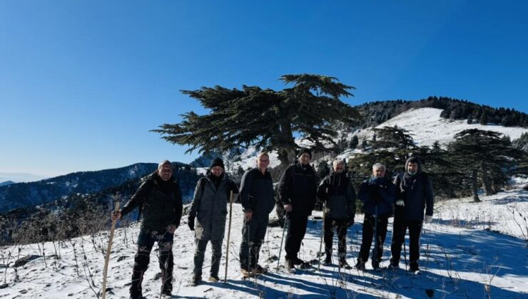 AMANOSLARA YILIN İLK KARI YAĞDI